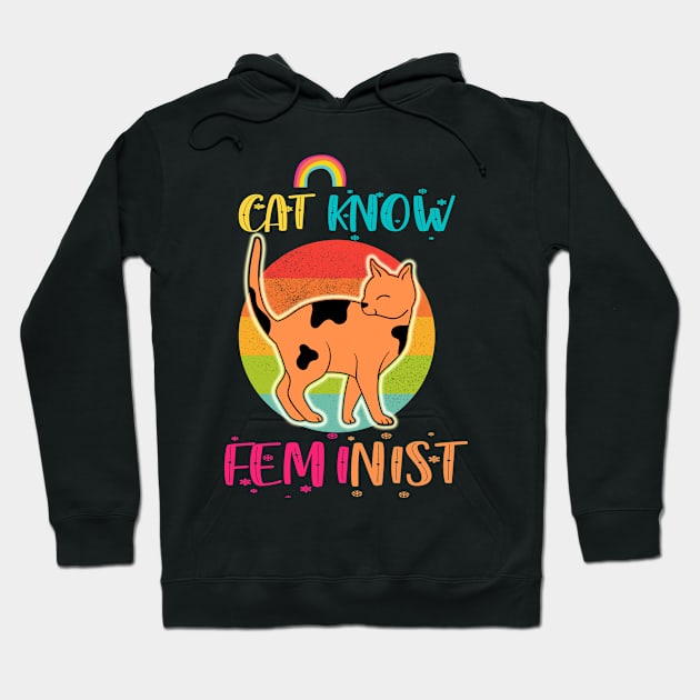 Cat Know Feminist Hoodie by 29 hour design